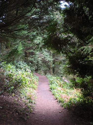 Enjoy the unfolding of your life's path