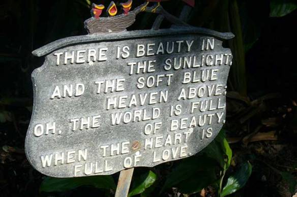 The World Is Full Of Beauty