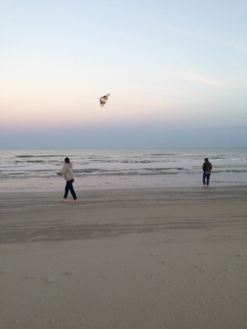 Kite on the Beach