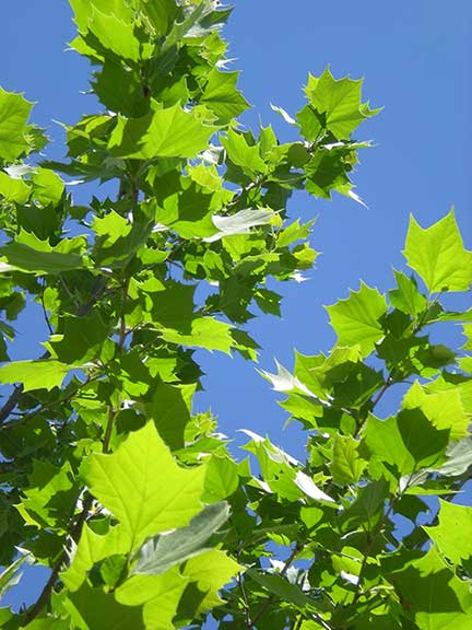 More alignment, less labor