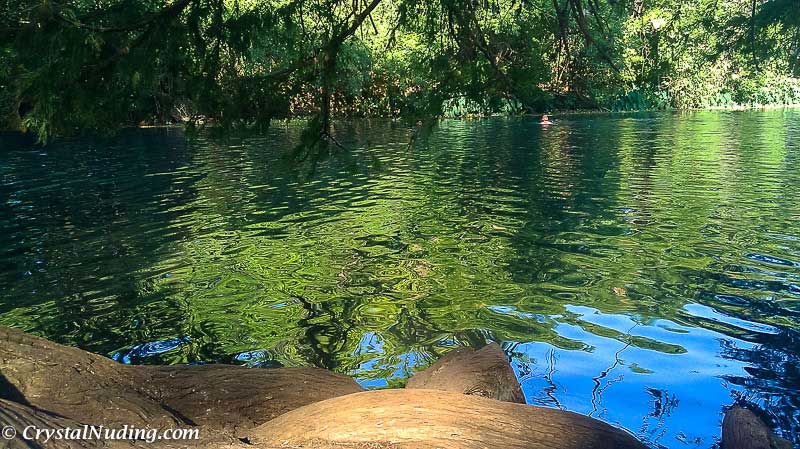 Relaxing on the river