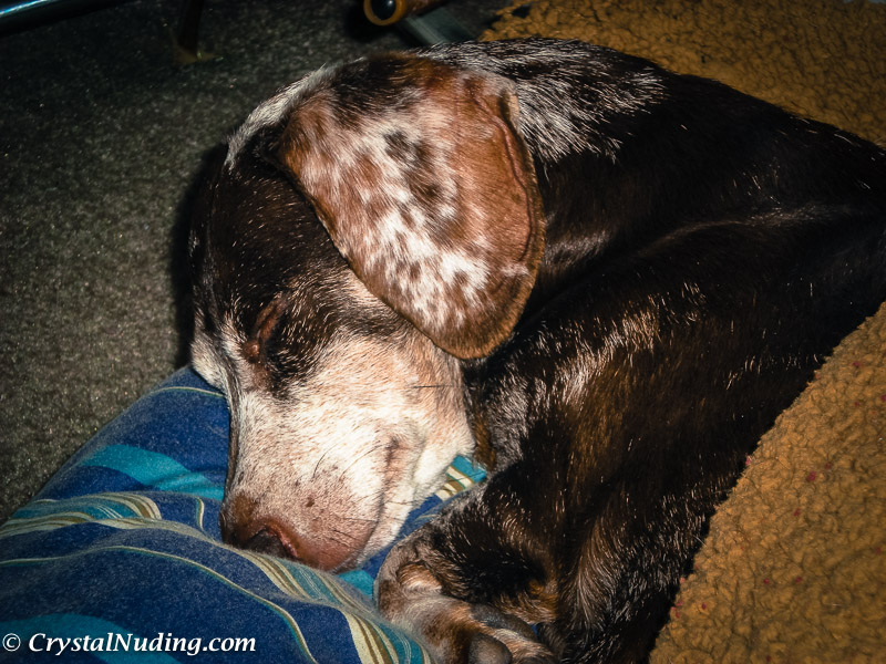 This boy knew how to nap.