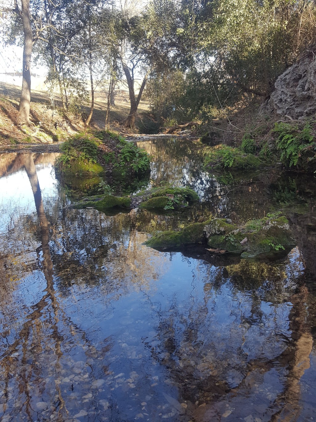 New Year, New&nbsp;Year!