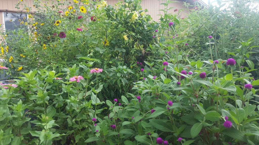 The Physical Sensations of&nbsp;Emotion