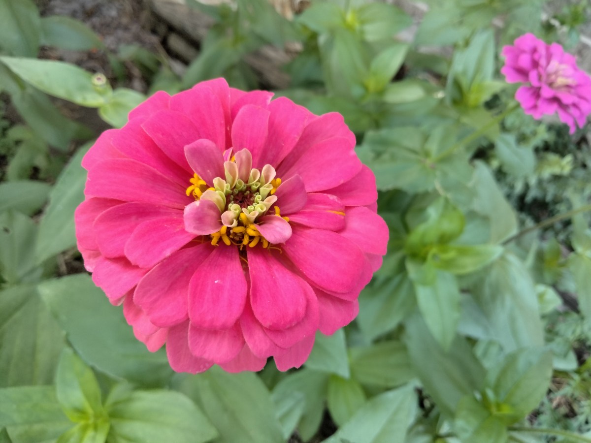 The Recipe For Our Self Correcting&nbsp;Life